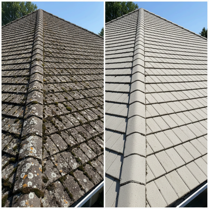 Avant apres nettoyage professionnel surface