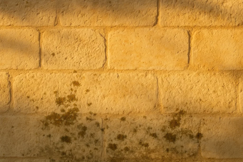 Facade en pierre blanche provencale au coucher du soleil